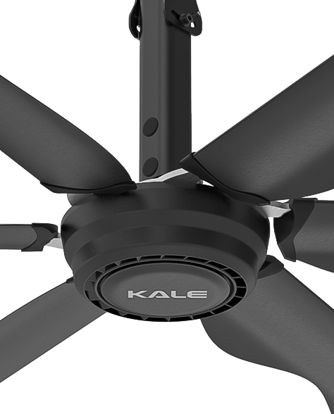 acercamiento motor aircool